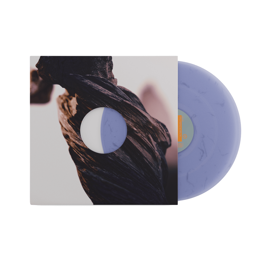 A Tribute To The Pixies LP アナログ　レコード A Tribute To The Pixies LP アナログ レコード - メルカリ