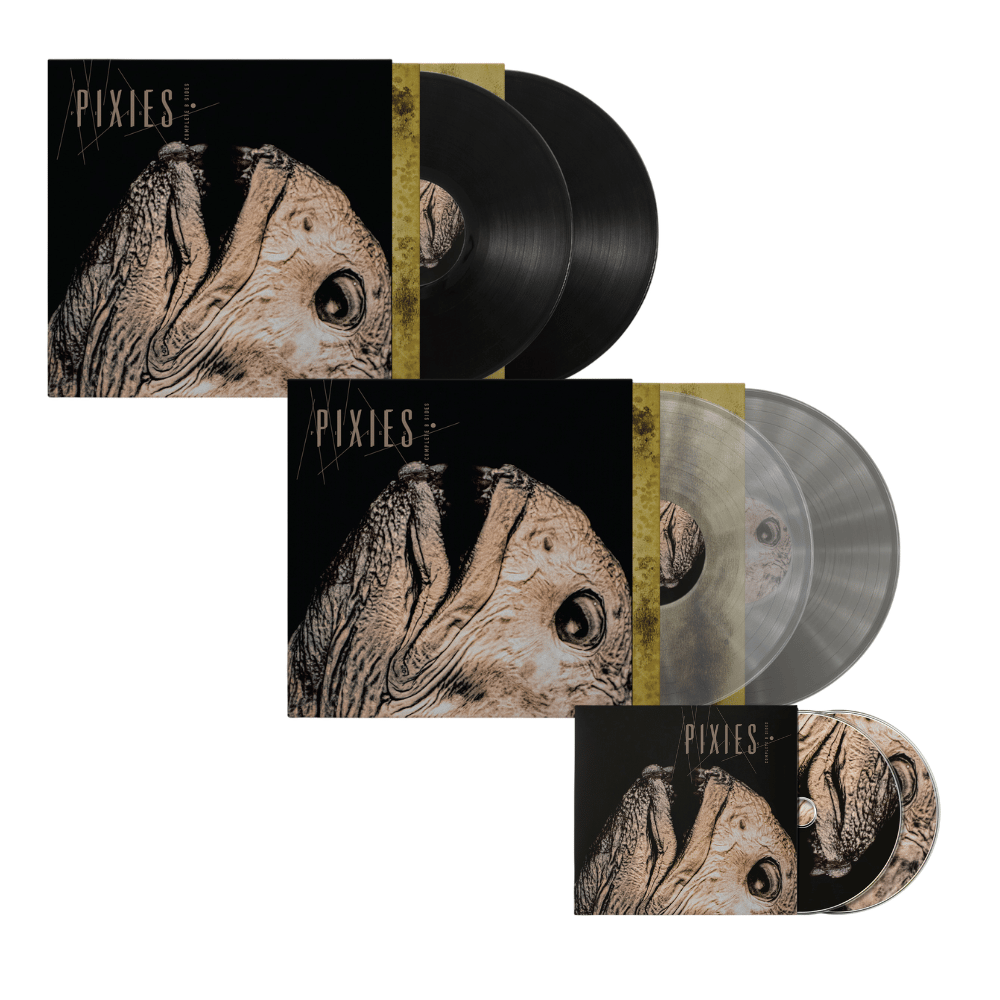 Townsend Music - Pixies
