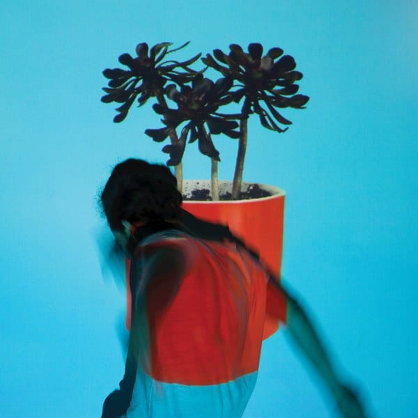 Buy Online Local Natives - Sunlight Youth