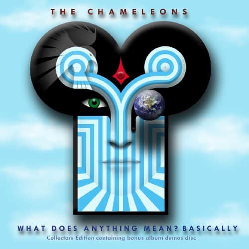 Buy Online Chameleons - What Does Anything Mean Basically