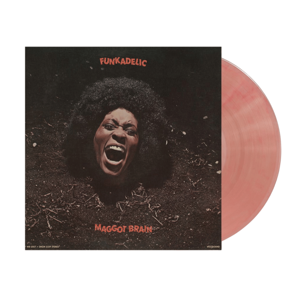 Music Evolution 180g Pink | Buckshot LeFonque | Townsend Music