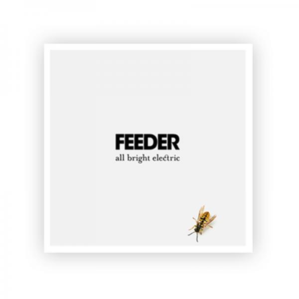 Buy Online Feeder - Exclusive 12 x 12 All Bright Electric Litho Art Print