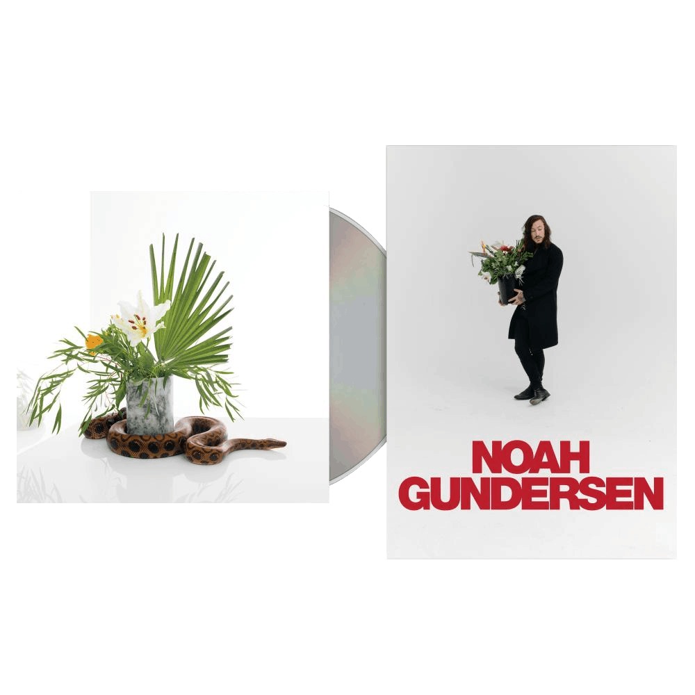 Buy Online Noah Gundersen - White Noise