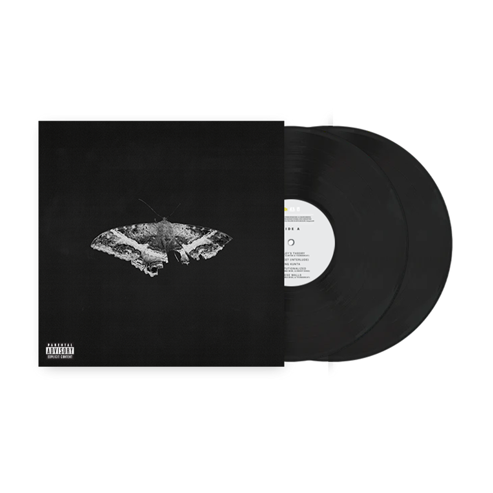 洋楽 kendrick lamar TO PIMP A BUTTERFLY Kendrick Lamar - To Pimp A Butterfly (Metallic) Vinyl Record