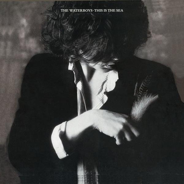 Buy Online The Waterboys - This Is The Sea Heavyweight Vinyl LP