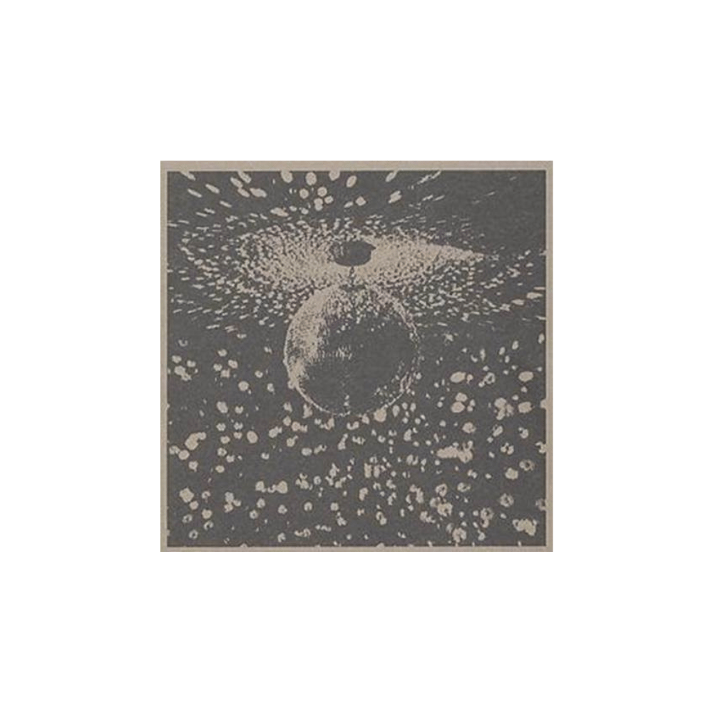 Mirrorball | Neil Young | Townsend Music