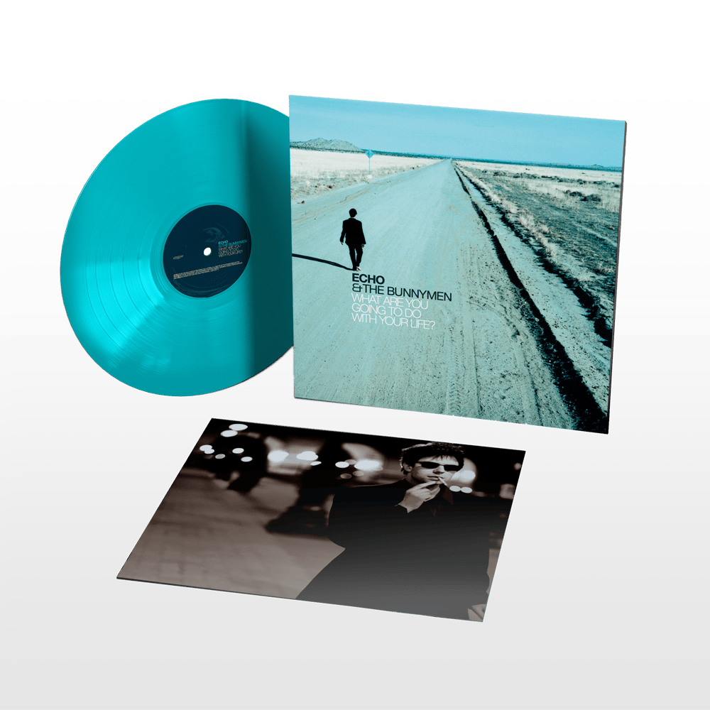 ⑮-㊳【希少】echo & the bunnymen - ARROGANCE Echo & The Bunnymen Official Store