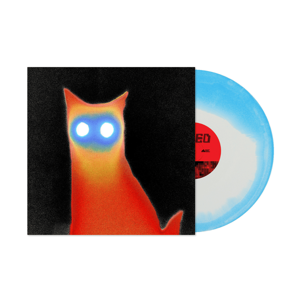 WIRED | Basement | Townsend Music