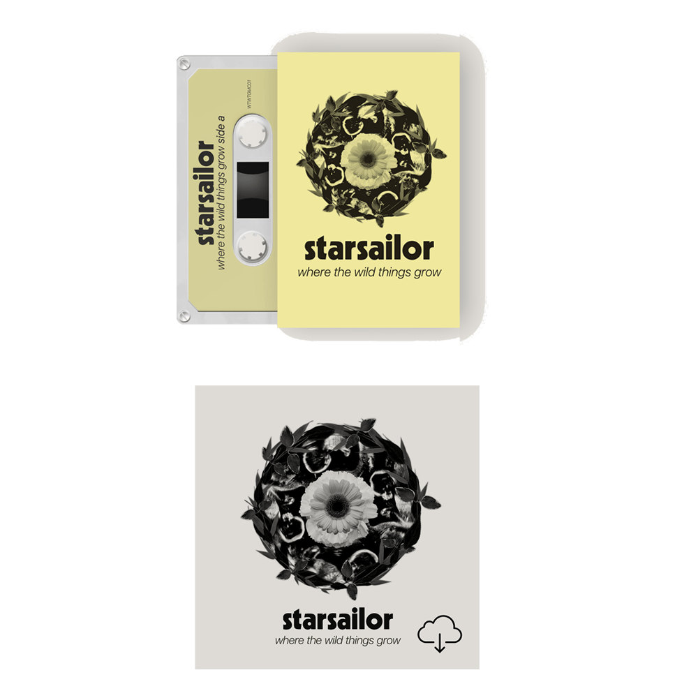 Townsend Music Online Record Store - Vinyl, CDs, Cassettes and Merch