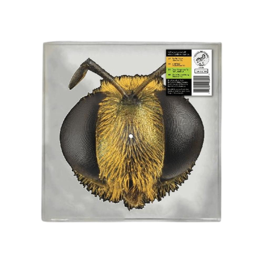 Record Store Day 2026 | Townsend Music
