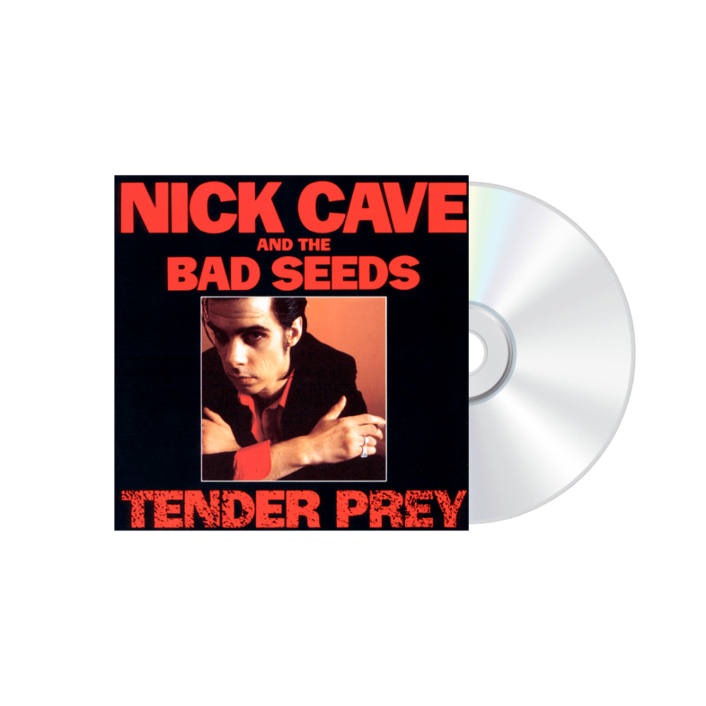 Nick Cave & The Bad Seeds | Art Of The Album
