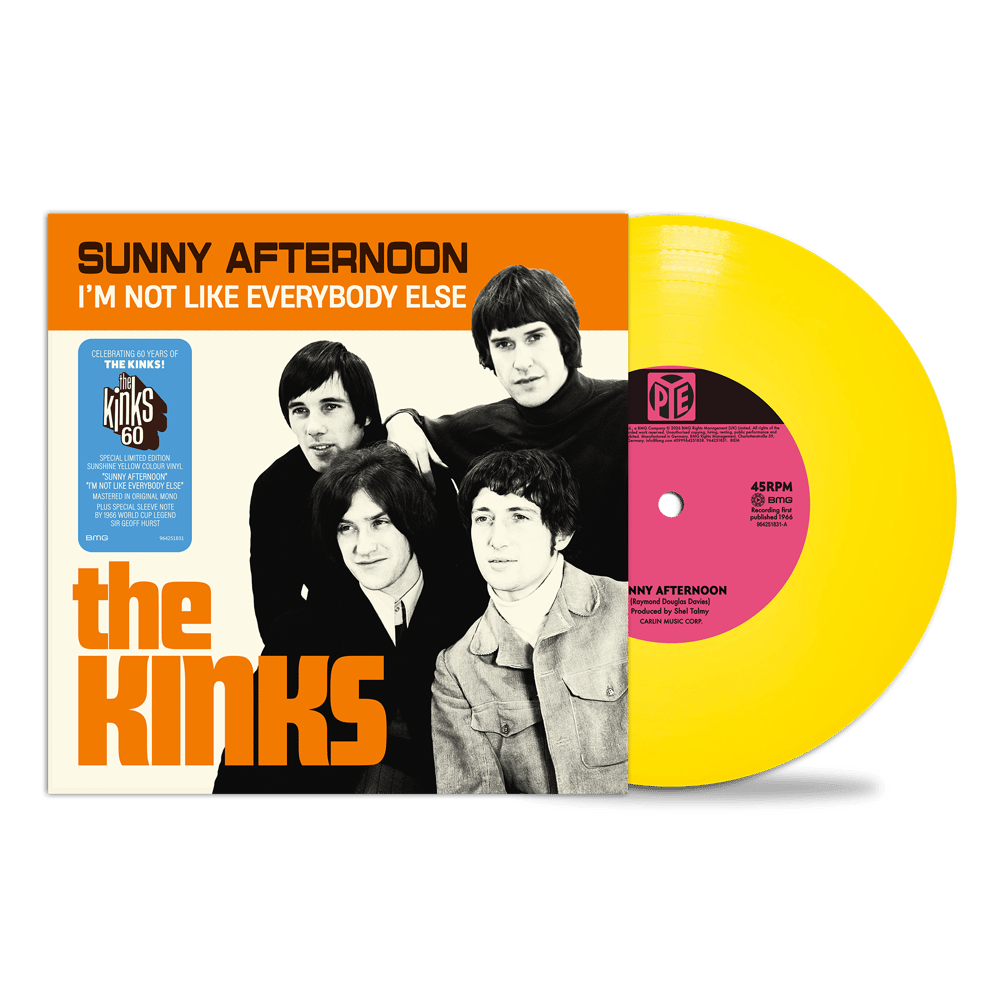Sunny Afternoon Yellow Colour | The Kinks | The Kinks