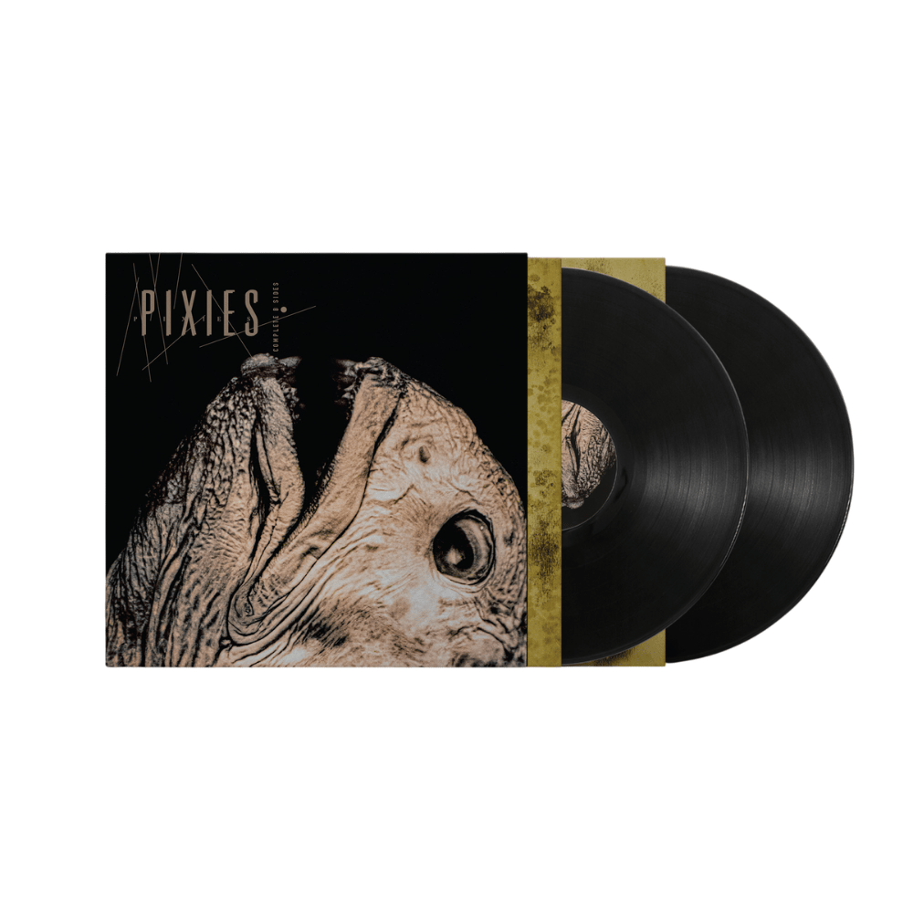 Townsend Music - Pixies