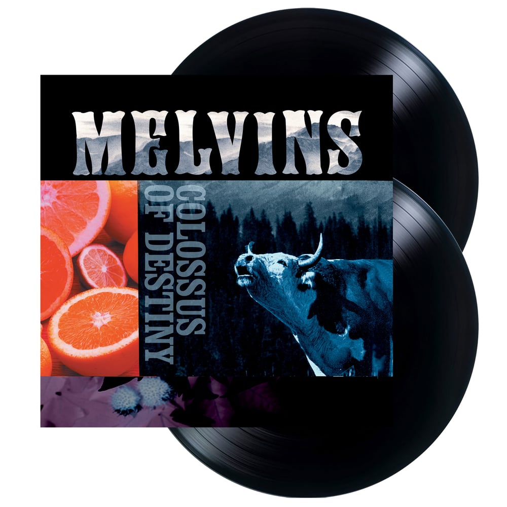destiny / DOUBLE レコード DOUBLE / DESTINY – TICRO MARKET