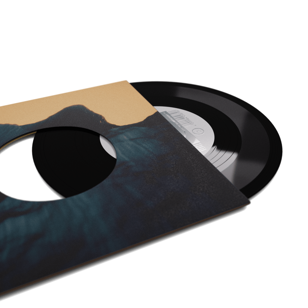Townsend Music Online Record Store Vinyl, CDs, Cassettes and Merch Pixies You
