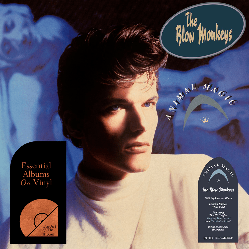 The Blow Monkeys - Animal Magic on Art Of The Album Official