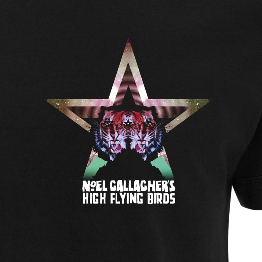 トップス NOEL GALLAGHER'S HIGH FLYING BIRDS 12s T 2018 Noel Gallagher's High Flying Birds T-Shirt Stranded On