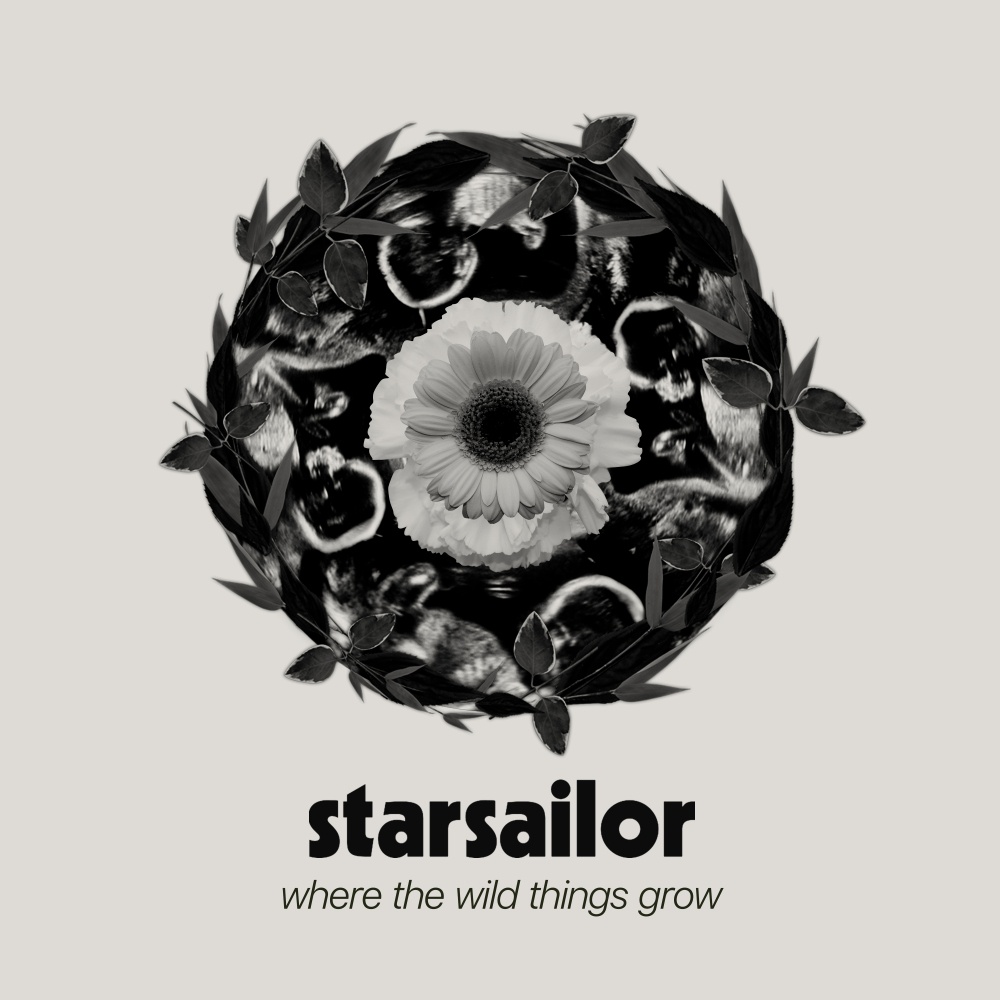 Buy Online Starsailor - Where The Wild Things Grow Deluxe Digital