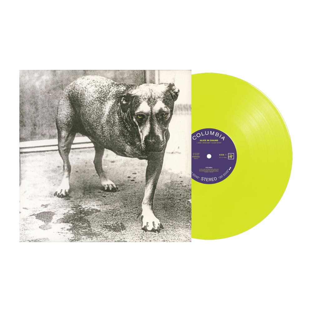 Dirt Yellow | Alice In Chains | Townsend Music