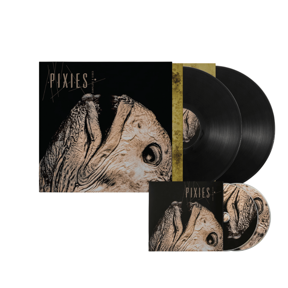 Townsend Music - Pixies