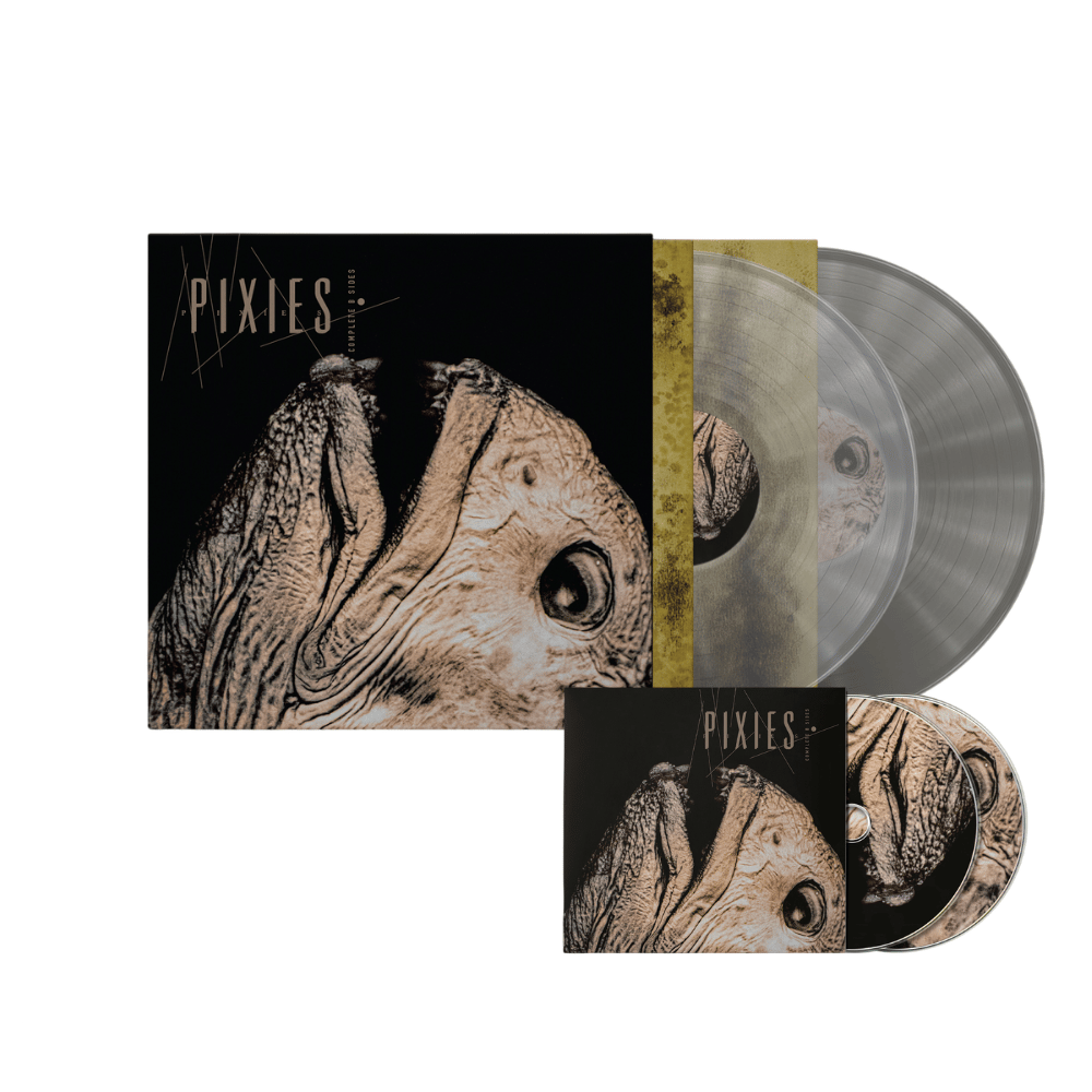 Townsend Music - Pixies