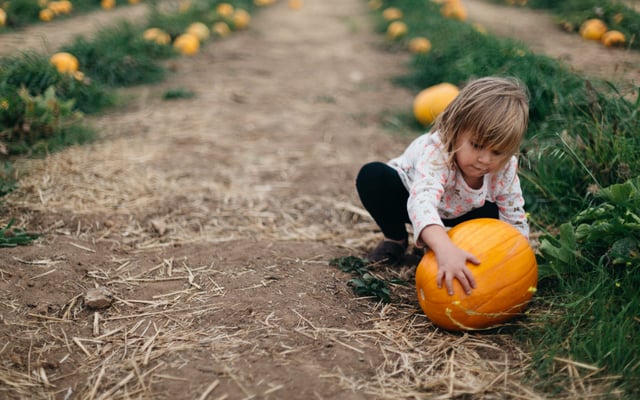 Baby Doesn’t Want to Eat? Painless Tips and Tricks