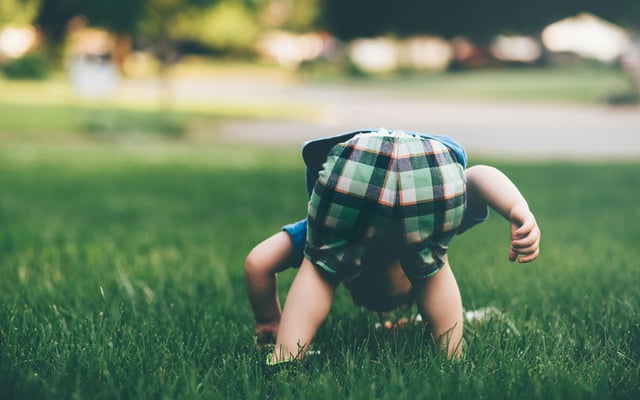 Breda: The AI ChatGPT App for Parents