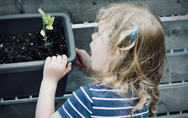 Milo: Simplify Family Life with AI