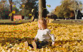 Card background