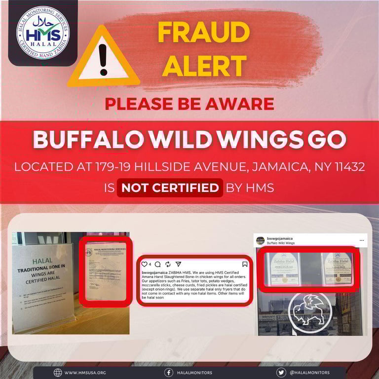 Buffalo Wild Wings GO, Jamica, (NY)