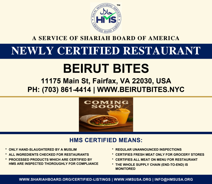 Beirut Bites-Certified