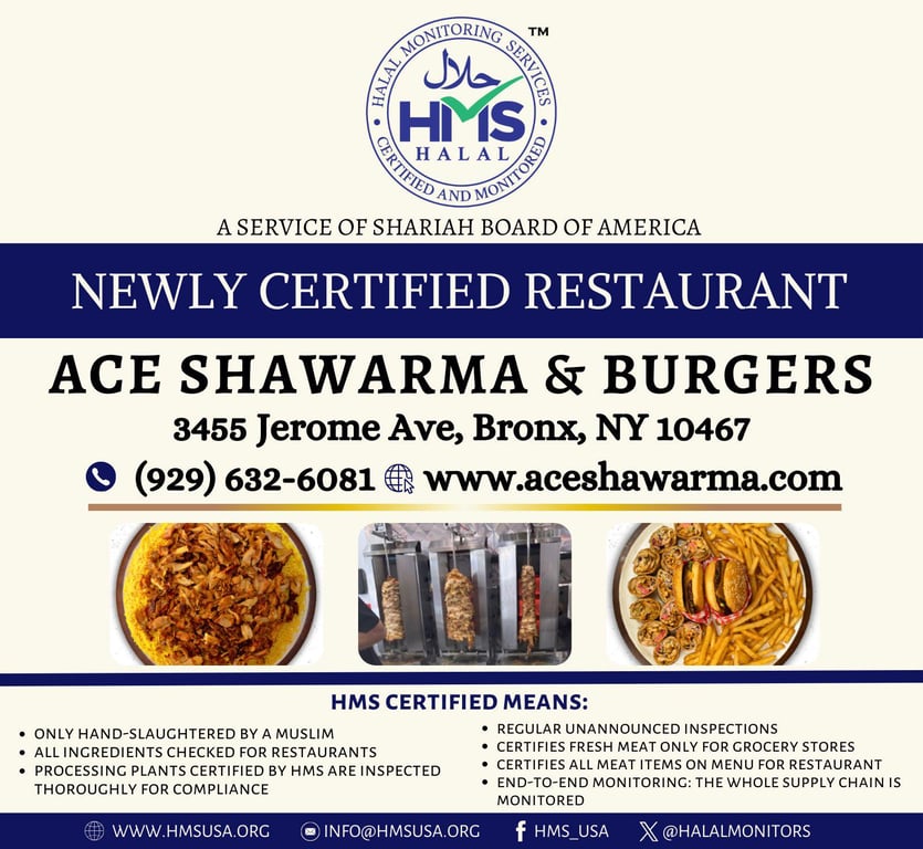 Ace Shawarma & Burgers, Bronx (NY)