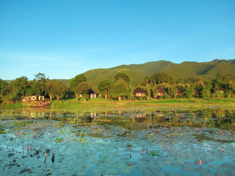 Image Alternative text