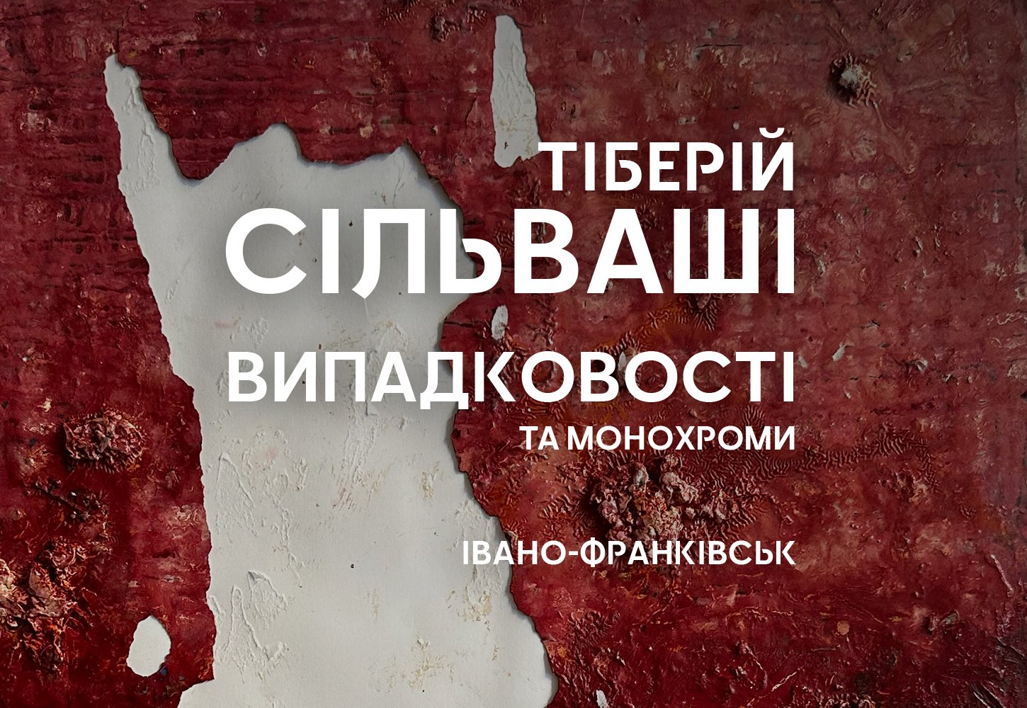 Тіберій Сільваші: Випадковості та монохроми в Івано-Франківську