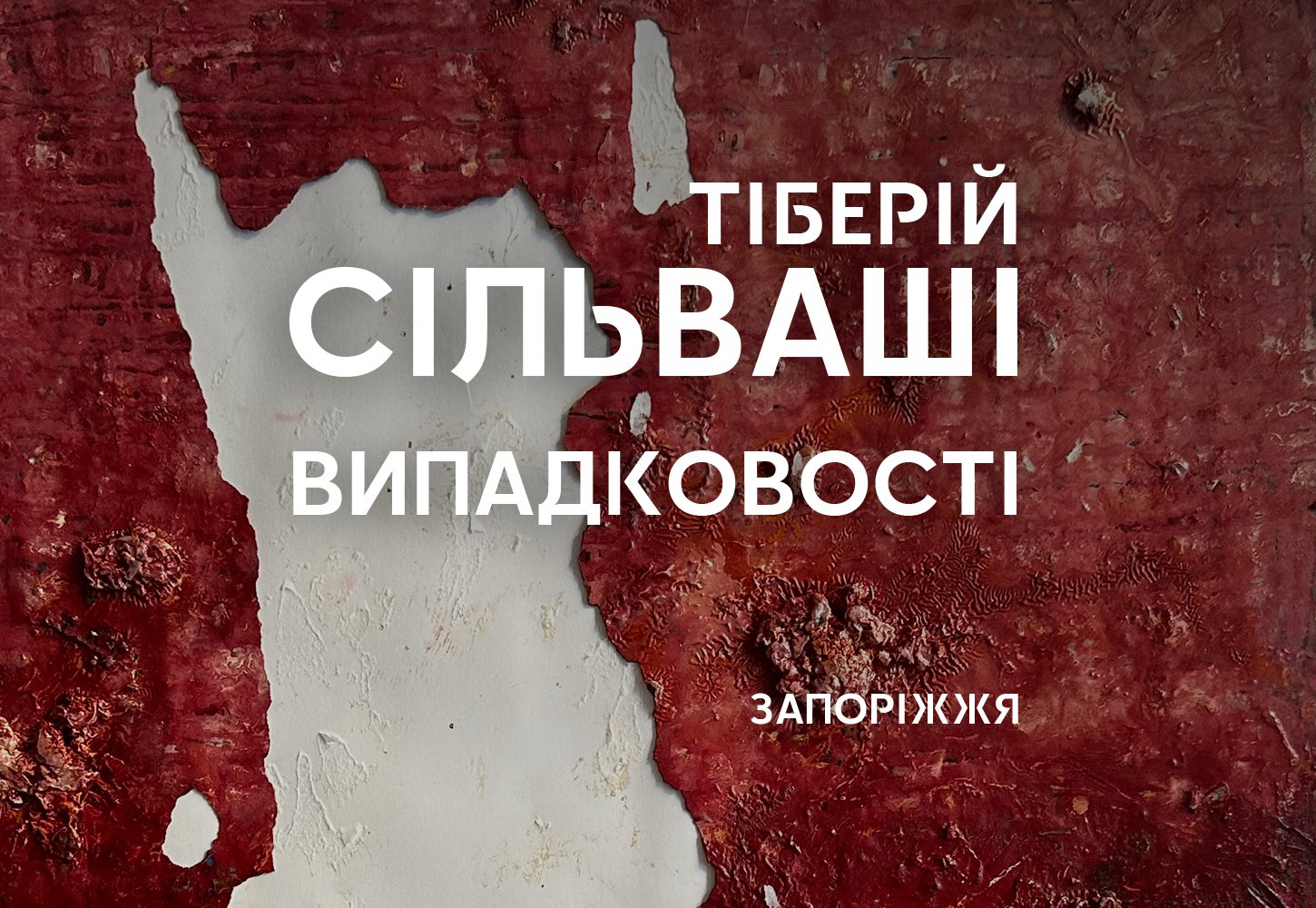 Тіберій Сільваші: Випадковості у Запоріжжі