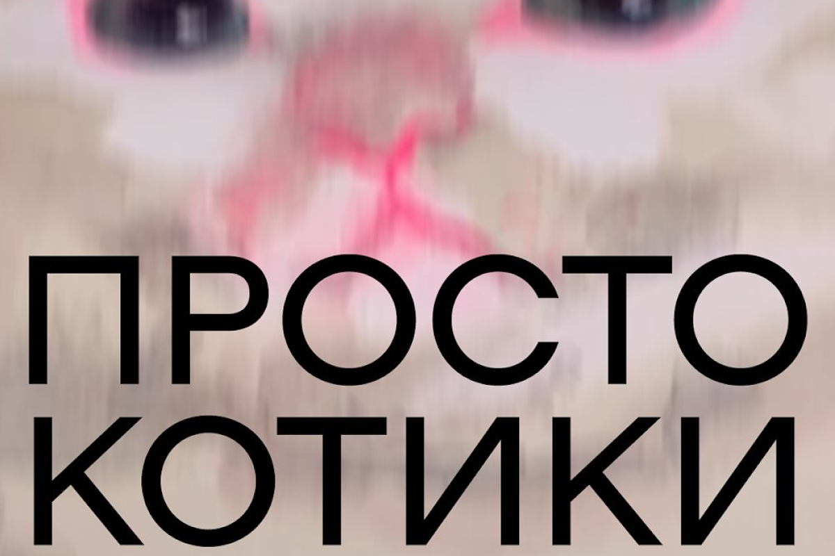 «Просто котики»