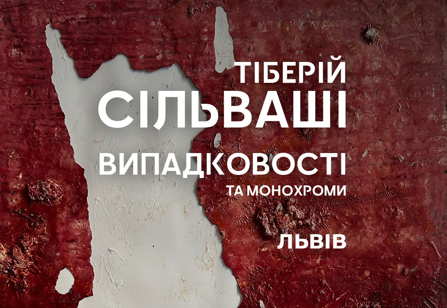 Тіберій Сільваші: Випадковості та монохроми у Львові
