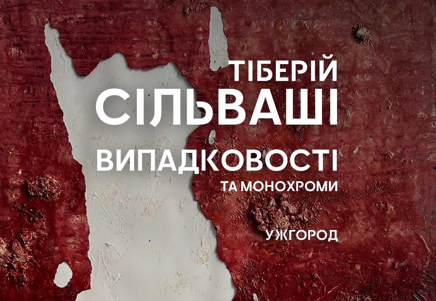 Тіберій Сільваші: Випадковості та монохроми в Ужгороді