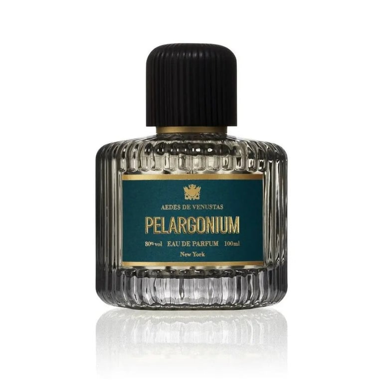 Aedes de venustas Pelargonium
