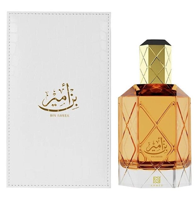 Ahmed Al Maghribi Bin Ameer