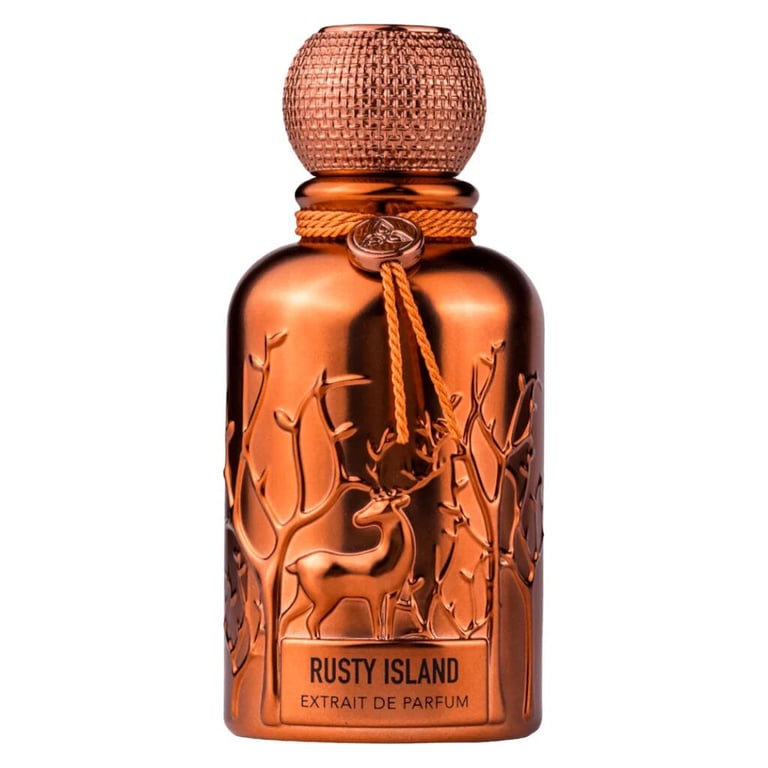 Auraa desire Rusty Island Men Extrait