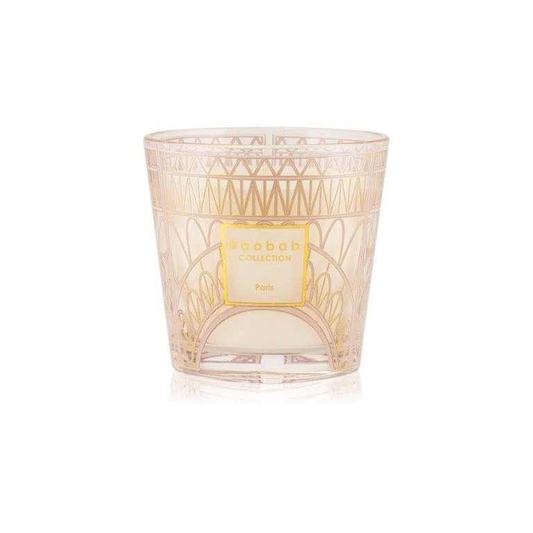 Baobab collection My First Baobab Paris 8 cm