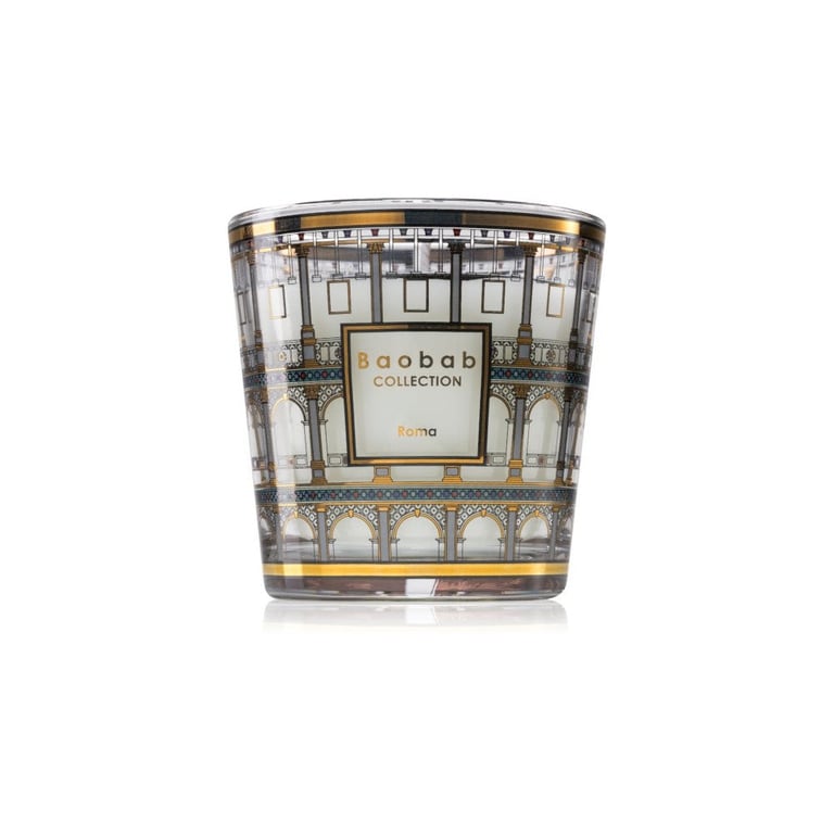 Baobab collection My First Baobab Roma 8 cm