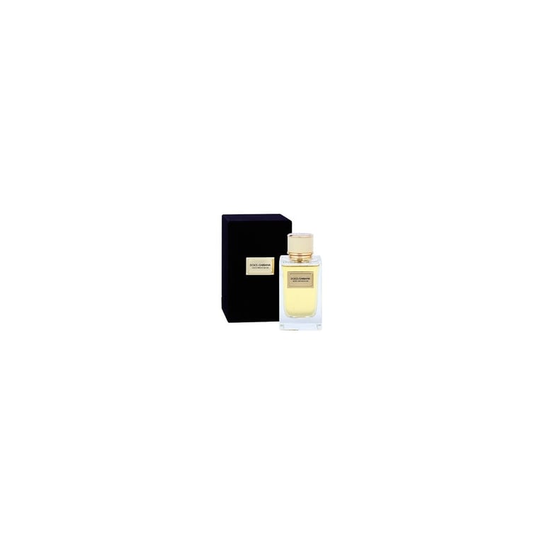 Dolce & Gabbana Velvet Mimosa Bloom