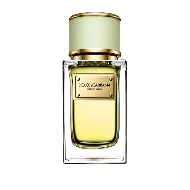 Dolce & Gabbana Velvet Pure Women