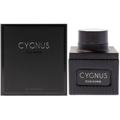 Flavia Cygnus Cologne