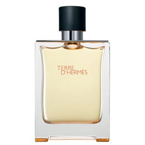 Hermès Terre DHermes Pure