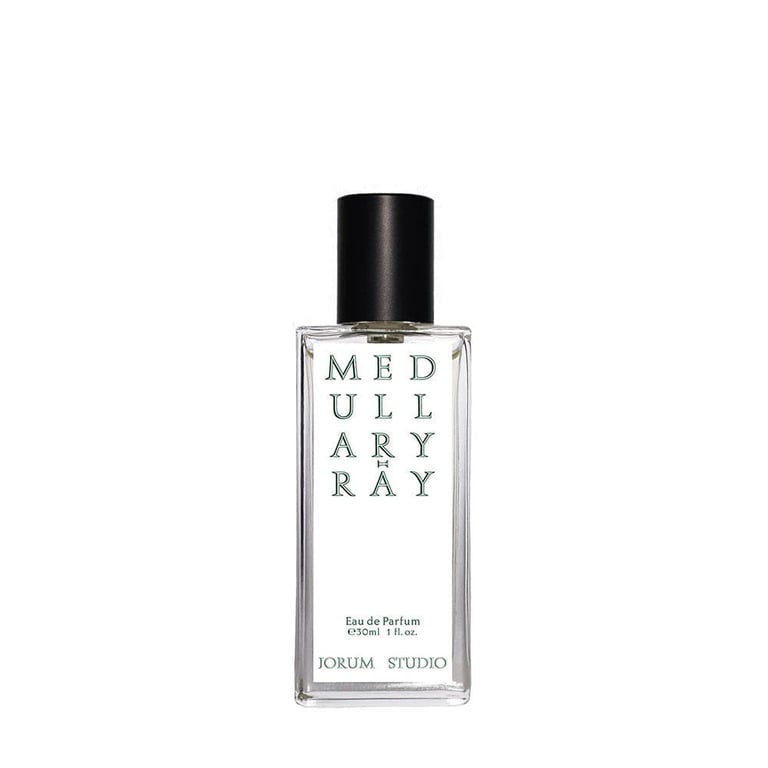 Jorum studio Medullary ray