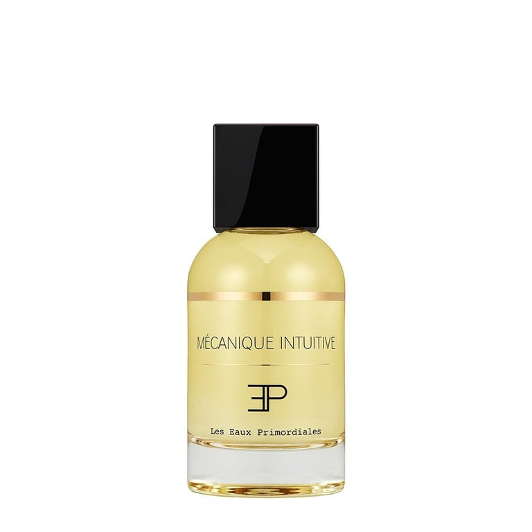 Les eaux primordiales Mecanique Intuitive