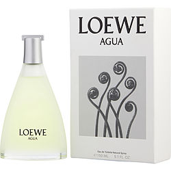 Loewe Agua De ( PACKANGING)